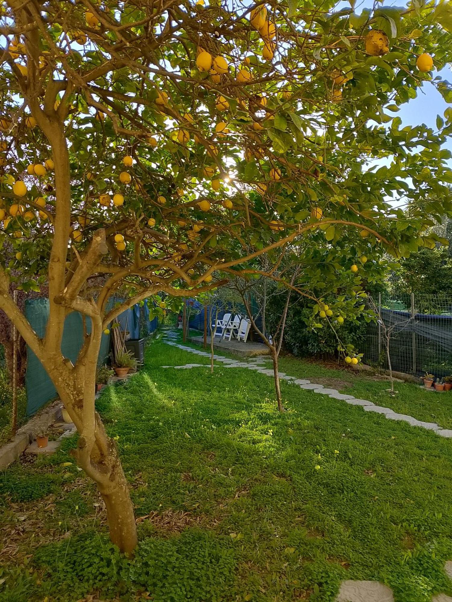 Lo Spicchio B&B Альгеро Экстерьер фото